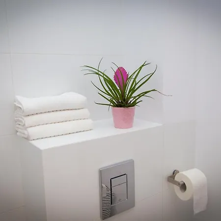 Na Wydmie Gardenia *